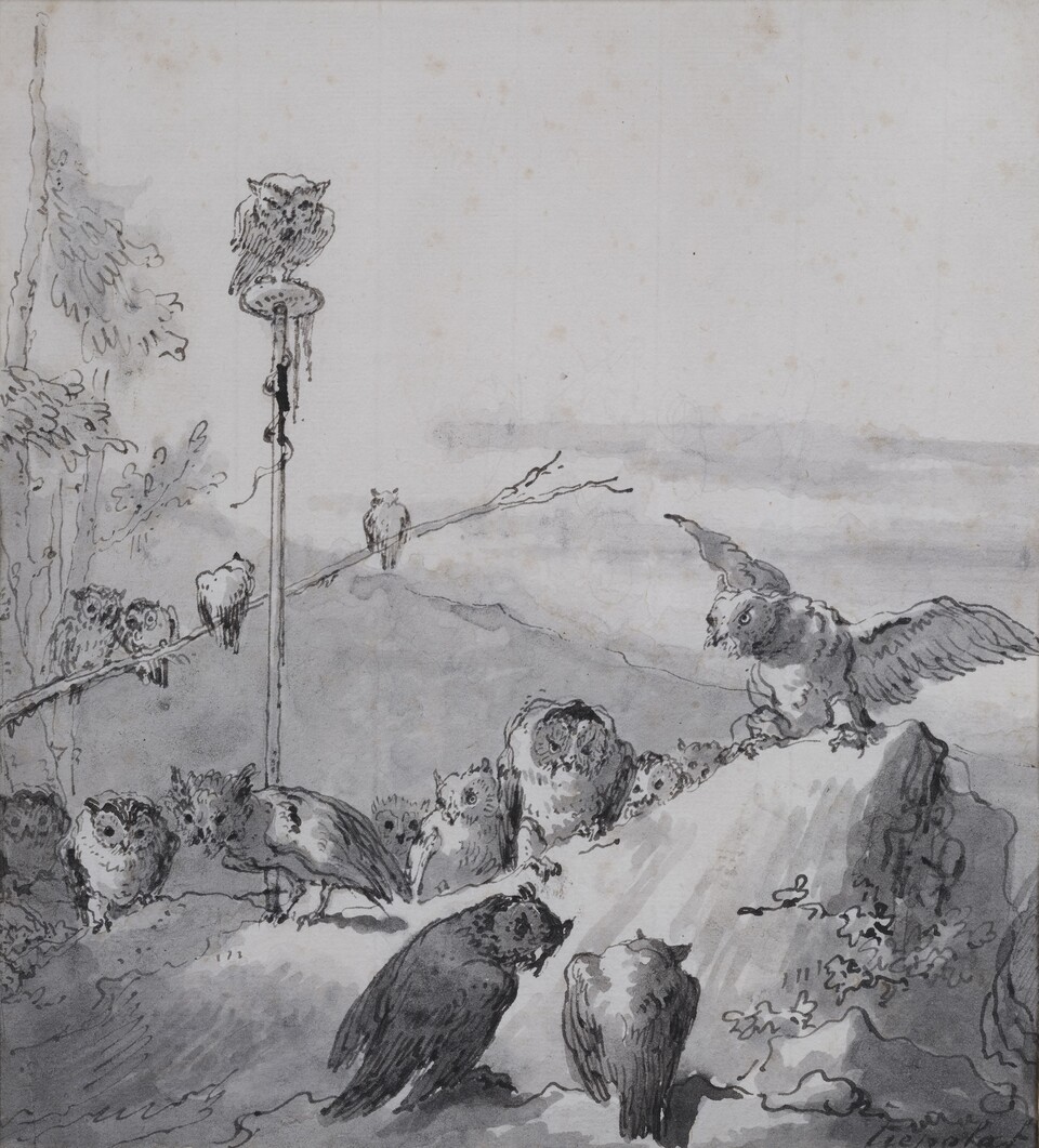 Gian Domenico Tiepolo (1727–1804) Die Eulen, 1770/75 Feder in Schwarz, grau laviert, 215 x 190 mm Sammlung Wormsbächer, Hamburg © Foto: Christoph Irrgang