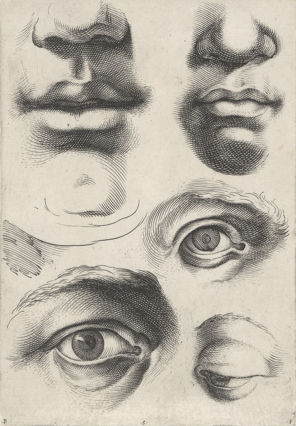 Luca Ciamberlano (um 1580– 1641) und Francesco Brizio (1574–1623), Gesichtsstudien (aus: Scuola  perfetta per imparare a disegnare  […]), 1600/1625 Kupferstich, 174 x 120 mm (Blatt) Sammlung Hegewisch, Hamburg © Hamburger Kunsthalle / bpk  Foto: Christoph Irrgang